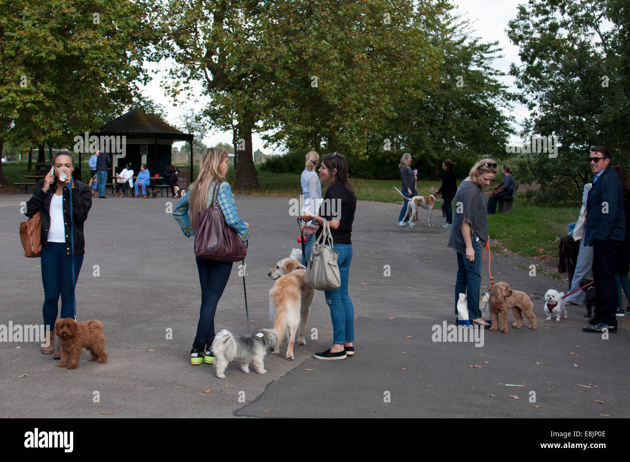 People with dogs, Regent`s Park, London, UK Stock Photo